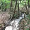 The trail follows by this dry creek bed.