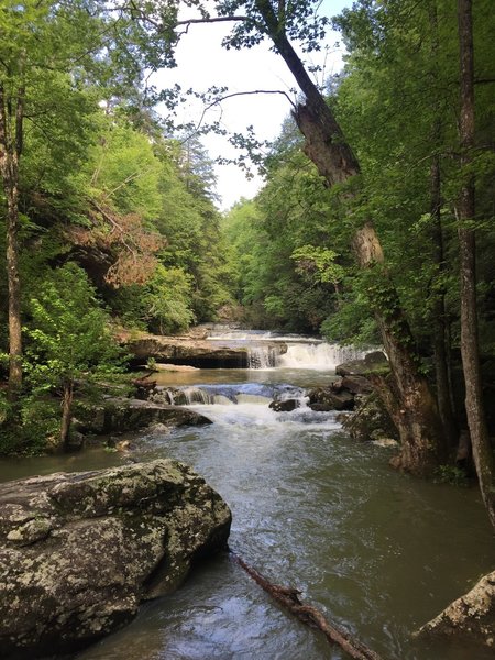 Bark Camp Creek Cascades.