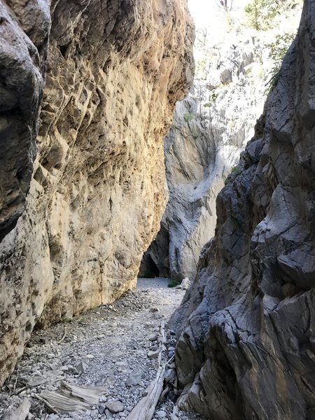 While it can be hot at the trailhead, once you're in the canyon it becomes much cooler.