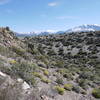 The Sierras poke up above Panum Crater.