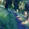 The Mike Uhtoff Trail is pleasant heading west into the shade.