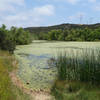 At one point, the Cobbles Trail passes by Duck Pond.