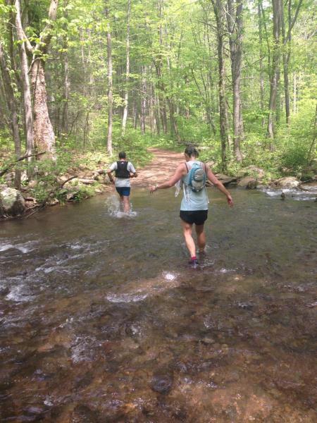 A river crossing on South Fork Moormans River Road (particularly high water!)