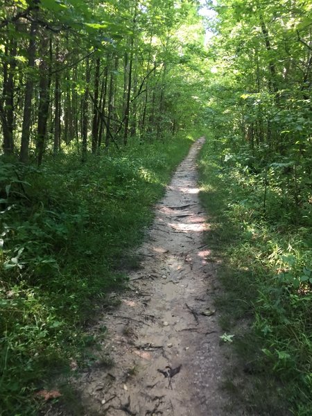 The Perimeter Trail has a good surface for walking.