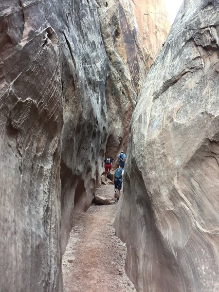 Hiking up Ding & Dang Loop brings excitement around every corner!