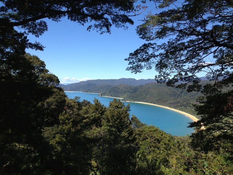 A view of Totaranui Beach through the trees along the Headlands Track.