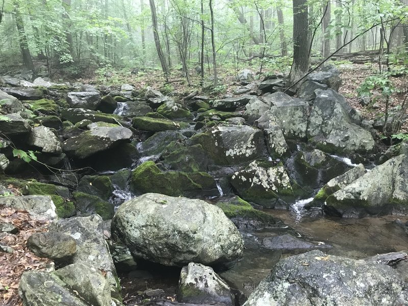 Thayer Brook makes a great place for water and a rest.