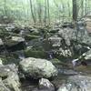 Thayer Brook makes a great place for water and a rest.