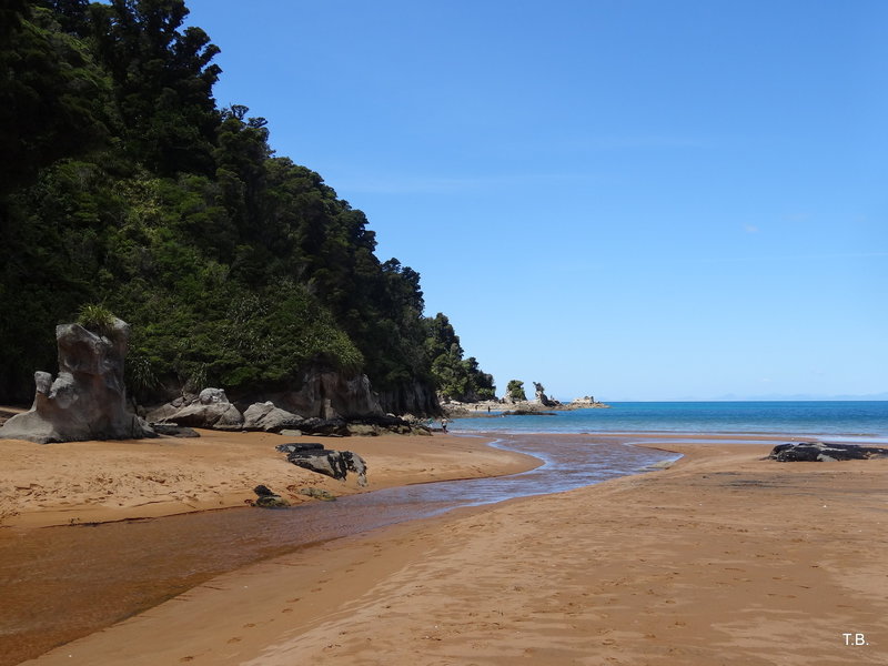 The small stream at the northern end of Totaranui Beach.