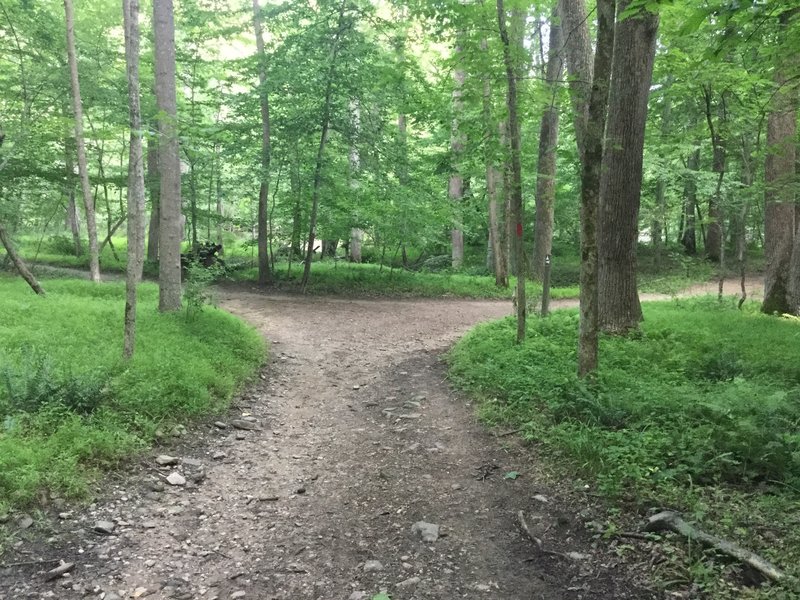 The Switchback Trail (white) enters from the right.