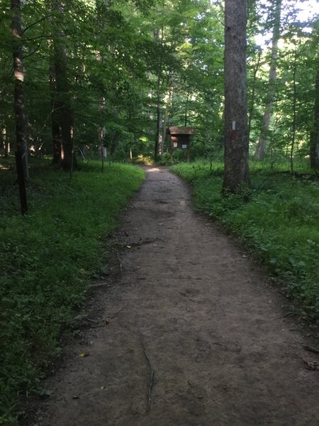 The Plantation Trail (red) and Switchback Trail (white) parallel the river.