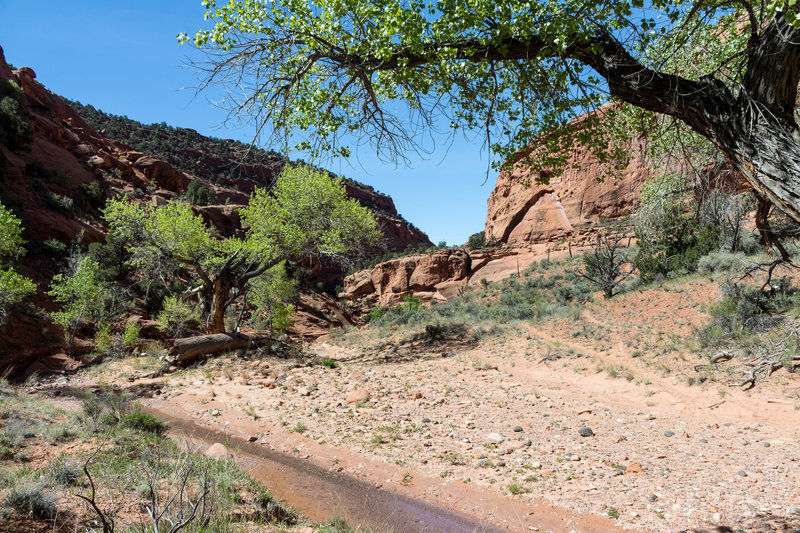 Looking back south into The Gulch, you get some sense of how far you've come.