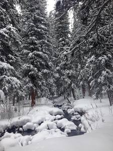 Snowshoes are heavily encouraged in the wintertime!