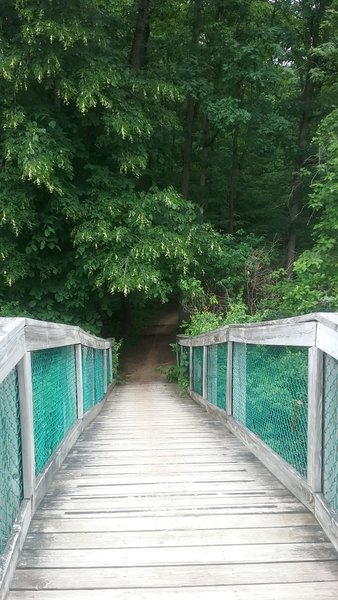 A bridge aids your passage over the water about 8 miles in.