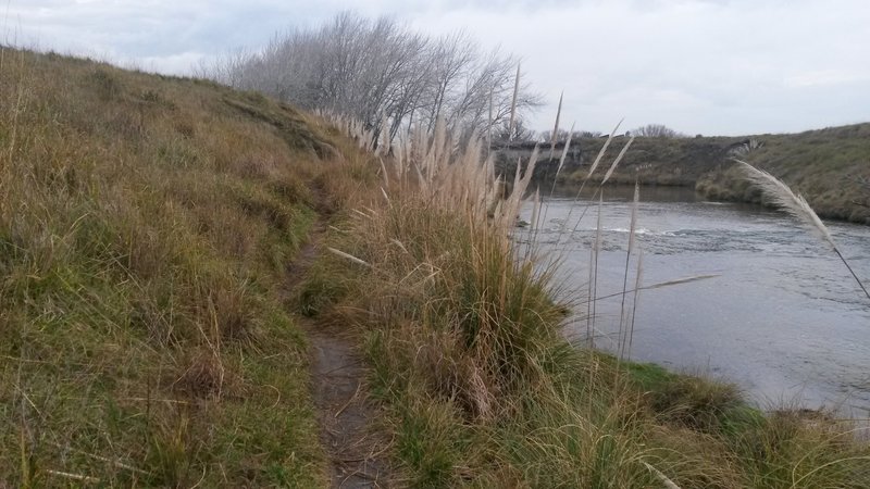 The trail follows right near the river.