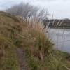 The trail follows right near the river.