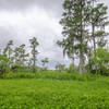 Soak up the scenery before the turn to the Marsh Overlook Trail.