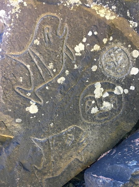 Take the time to check out these remarkable petroglyphs from the Makah tribe.