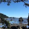 The Ozette Coast is gorgeous in the throes of summer.