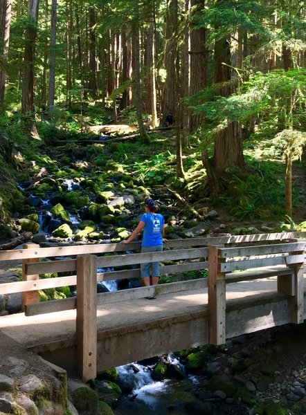 Stop and enjoy the view on the way to Sol Duc Falls.