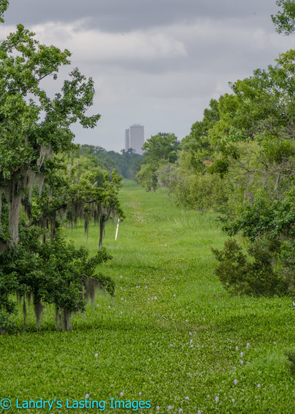 You can see the city off in the distance from the overlook.