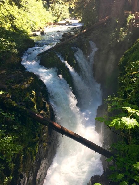 Sol Duc Falls rages with early summer runoff.