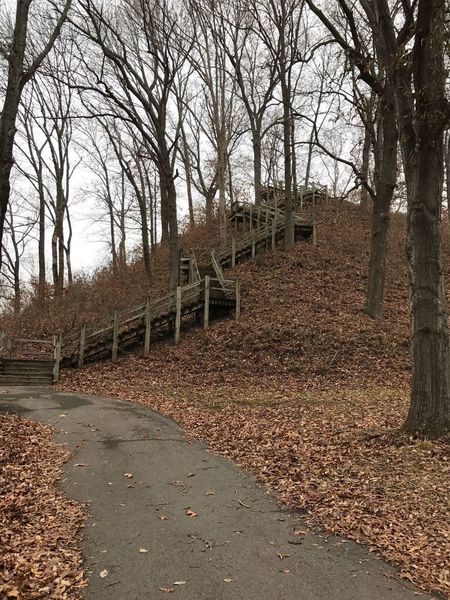 These stairs bring you to the top of Saul's Mound.