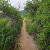 Enjoy easy terrain alongside Gold Camp Reservoir. The shrubbery is brimming with birds.