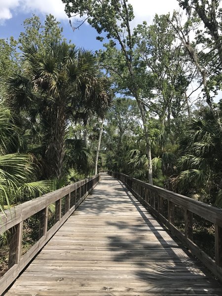 A wooden boardwalk makes travel easy over Graham Swamp.