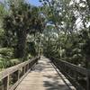 A wooden boardwalk makes travel easy over Graham Swamp.