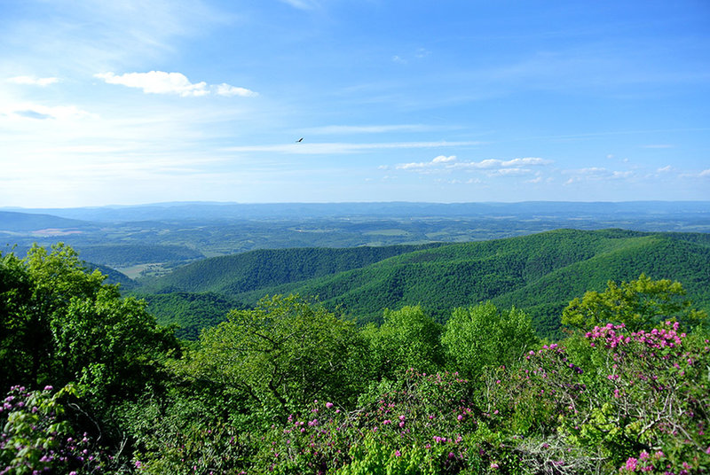 View from Comers Rock Lookout Platform, a side path from the trail, Built in 1930 by Civilian Conservation Corps.