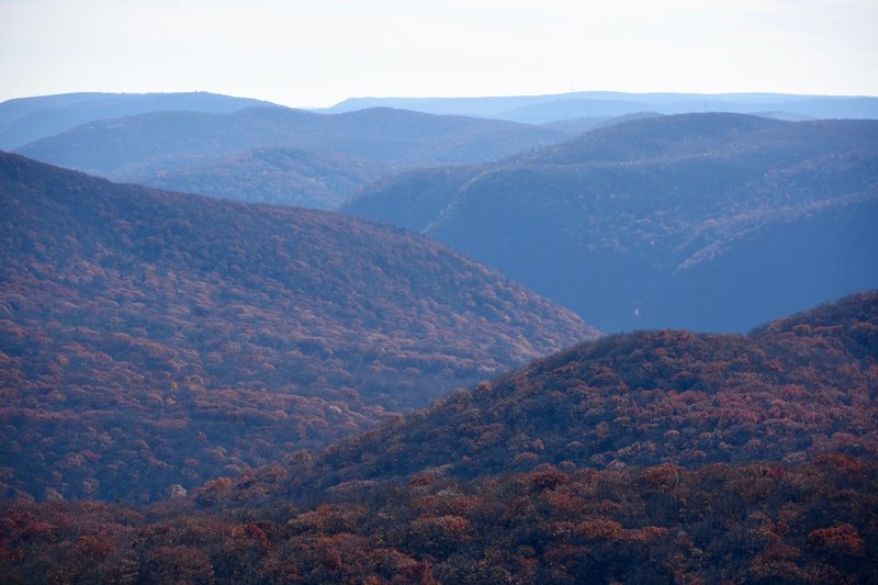 Visit this area in the autumn to see it erupt in fiery fall color.