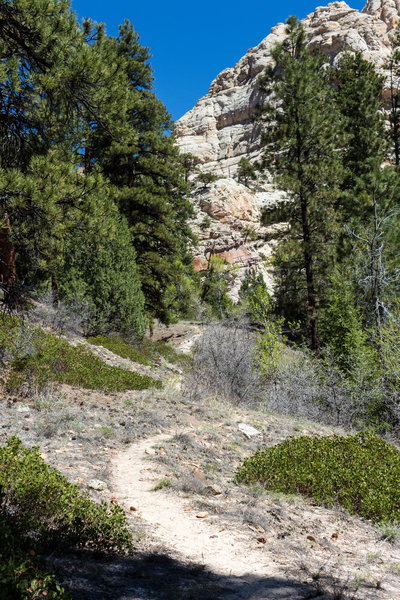 The heart of the canyon is confined by tall sandstone walls.