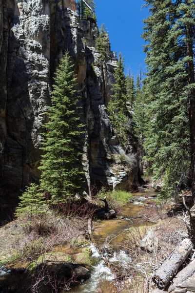 The narrow confines of the Upper Box are an interesting landscape.