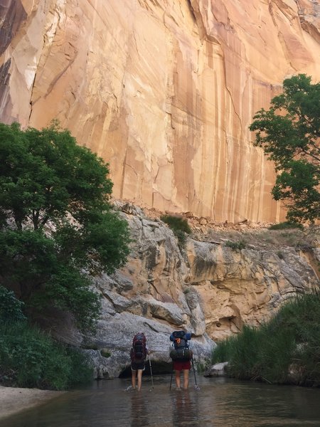 Two hikers wade through Lower Death Hollow.