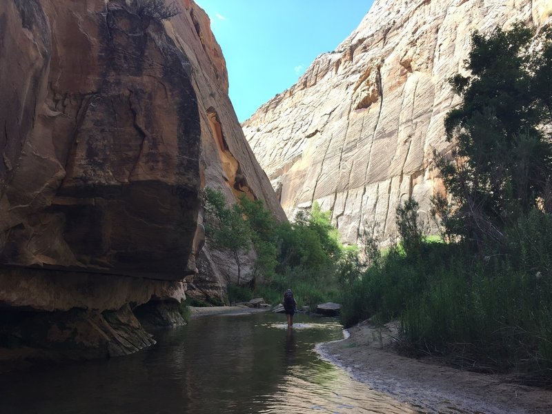 The landscape is simply amazing in Mamie Creek.