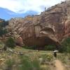 An amphitheater grows along the Escalante River.