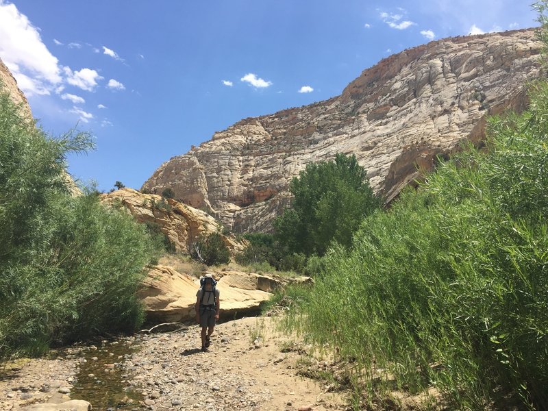 There was a touch of water in the canyon in mid-June 2017.