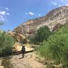 There was a touch of water in the canyon in mid-June 2017.