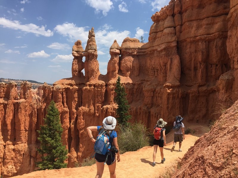 Hoodoos stand guard along the Peekaboo Loop.