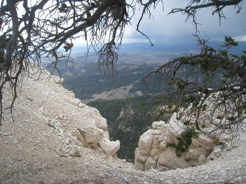 Clouds create a shrouded view from Powell Point.