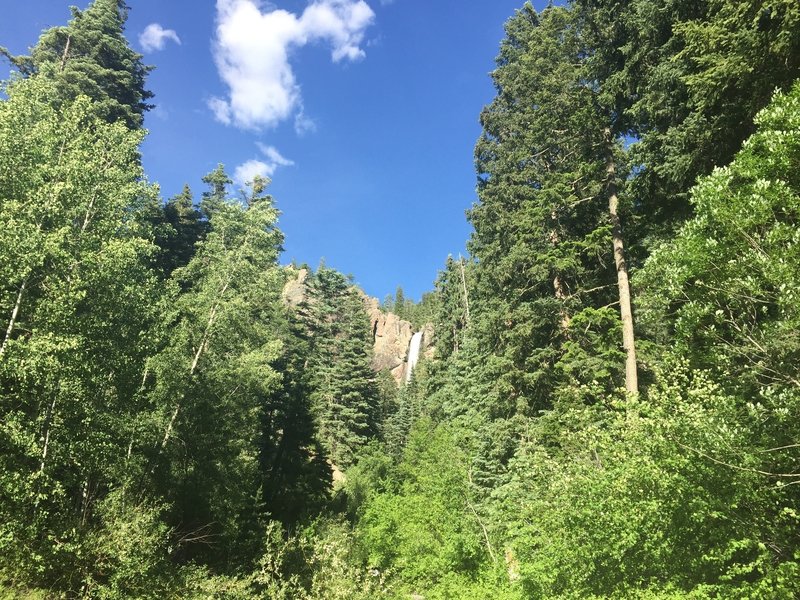 Treasure Falls is beautiful from below.