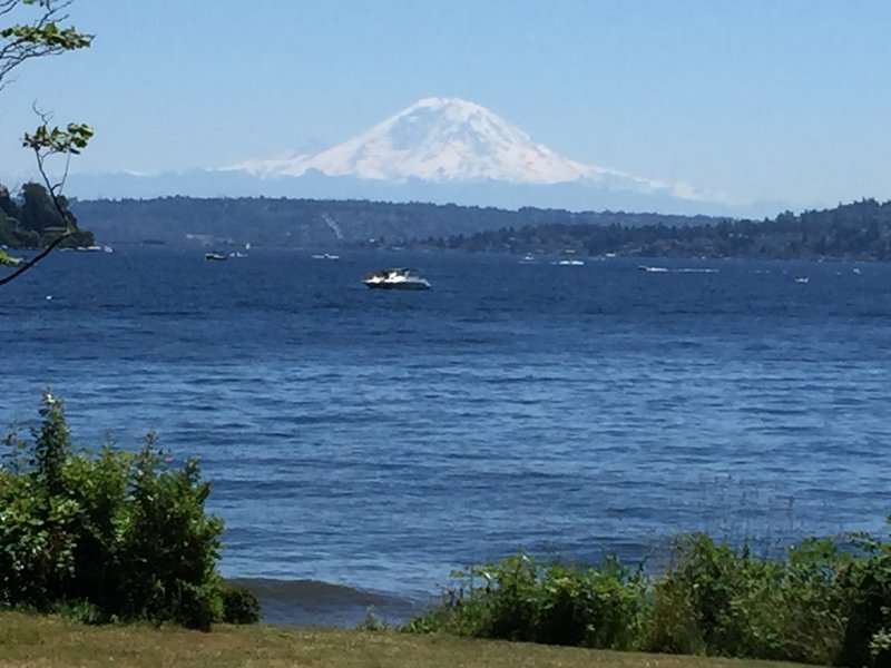 Looking south from the kid's playground, enjoy incredible views of Rainier on a summer day.