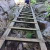 Use the ladder to scale the rock wall just before the summit of Crane Mountain.