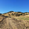 Brushy Peak is beautiful from afar.