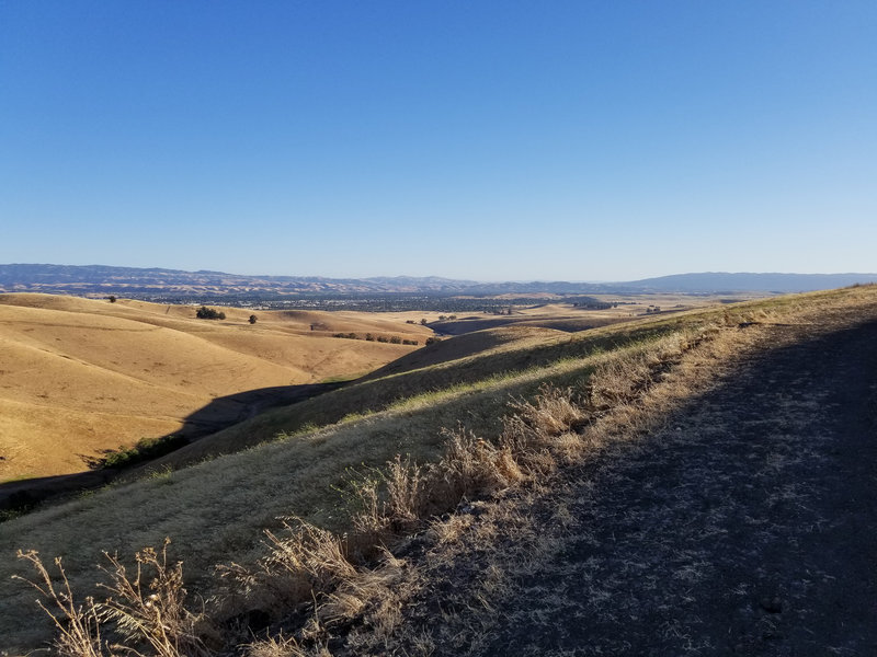 You can see Livermore in the distance from the Brushy Peak Loop Trail.