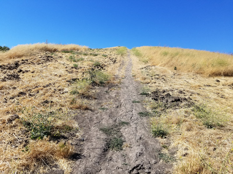 This is the initial ascent from the Dougherty Hills Dog Park.