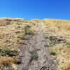 This is the initial ascent from the Dougherty Hills Dog Park.