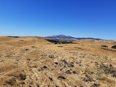 Mount Diablo can be seen far off in the distance.