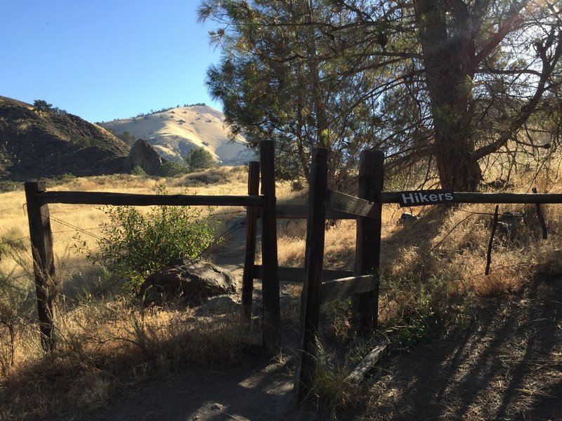 Near the beginning of the trail, hikers continue straight while a horse trail leads to the right. Grass Mountain is visible in the distance.